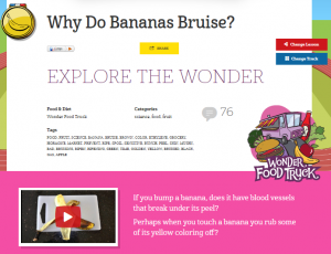 Why Do Bananas Bruise